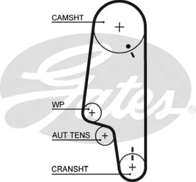 Timing Belt