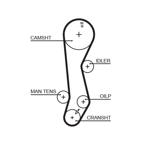 Timing Belt