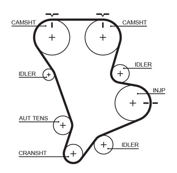 Timing Belt