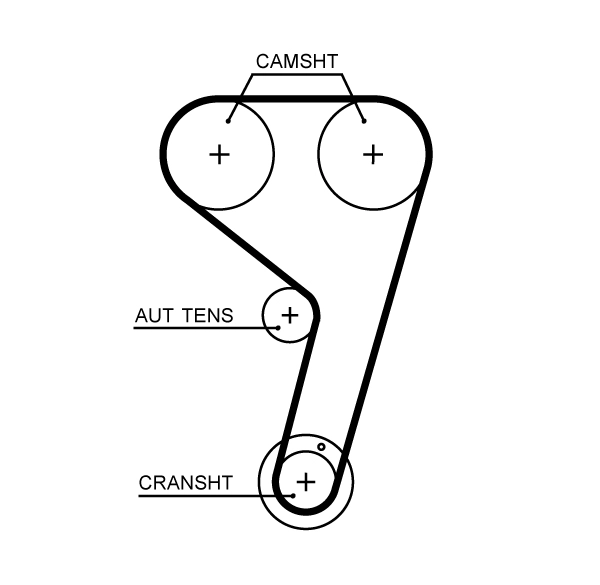 Timing Belt