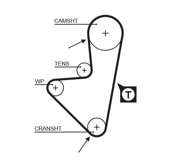 Timing Belt