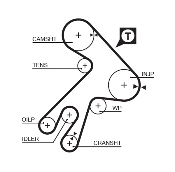 Timing Belt
