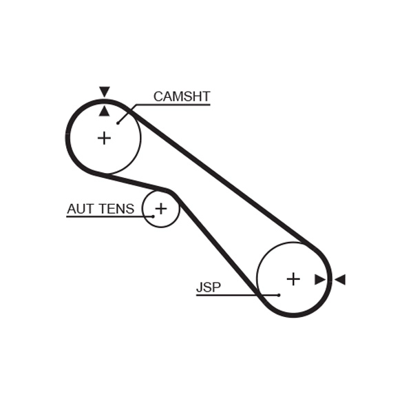 Timing Belt