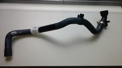 Radiator Hose (25031)