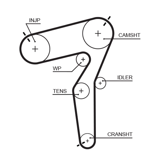 Timing Belt