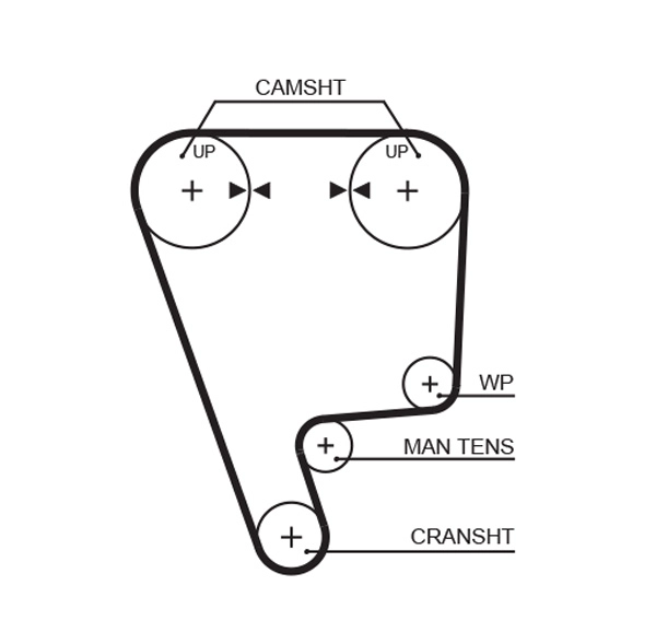 Timing Belt