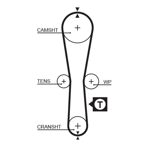 Timing Belt