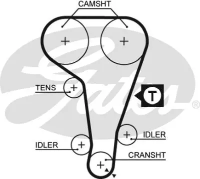 Timing Belt