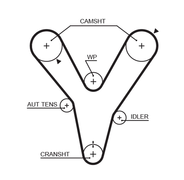 Timing Belt