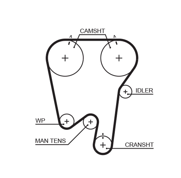 Timing Belt