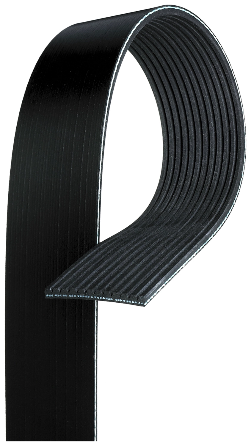 V-Ribbed Belt (12PK1835HD)