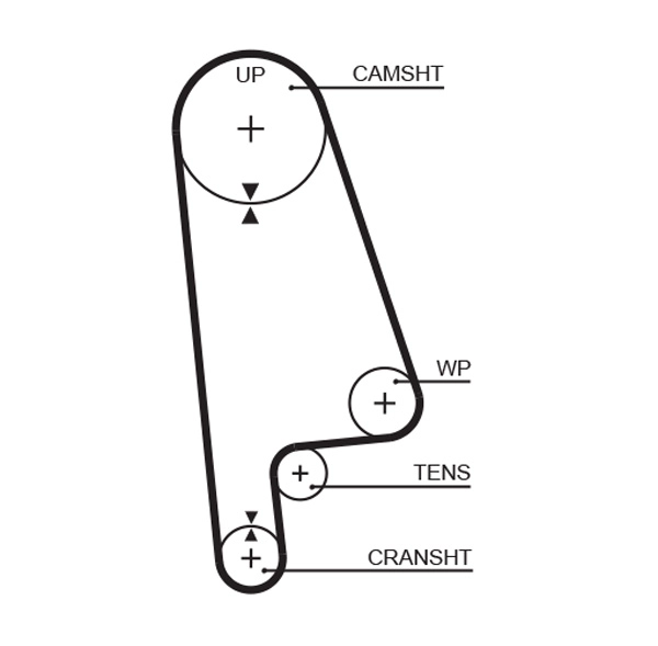 Timing Belt
