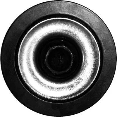 Deflection/Guide Pulley, V-ribbed belt (T36291)