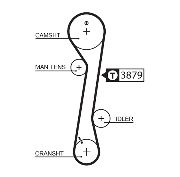Timing Belt