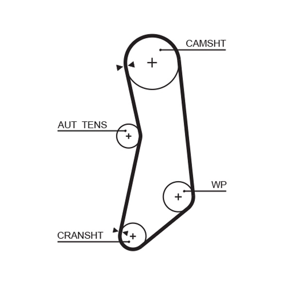 Timing Belt