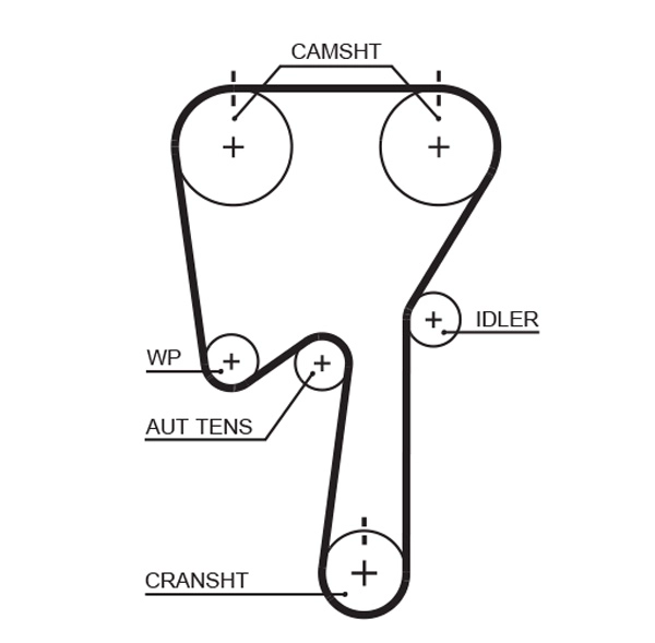 Timing Belt