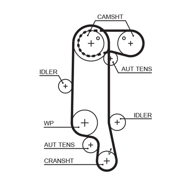 Timing Belt