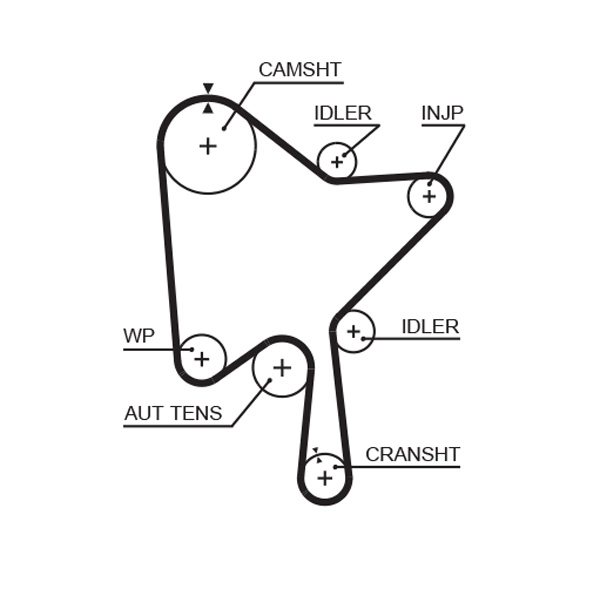 Timing Belt