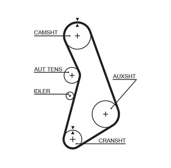 Timing Belt