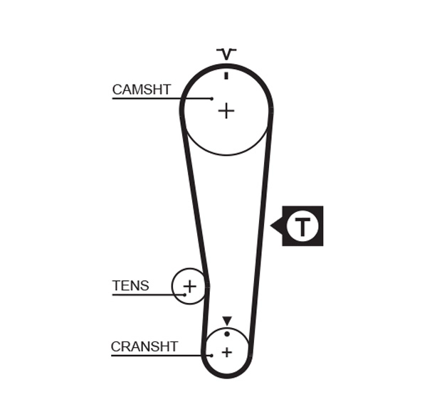 Timing Belt