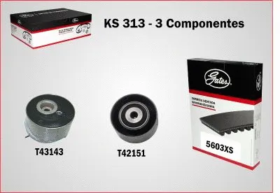 Timing Belt Kit (KS313)