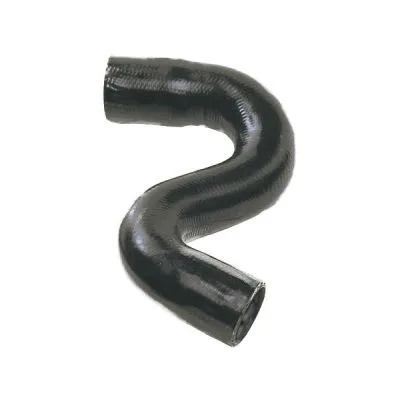 Radiator Hose (15111)