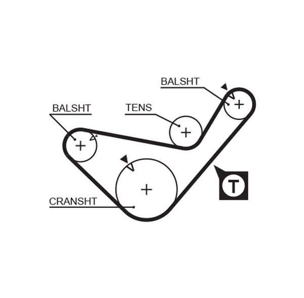Timing Belt