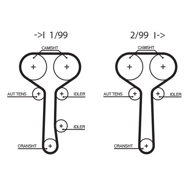 Timing Belt