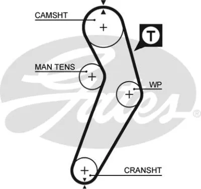 Timing Belt