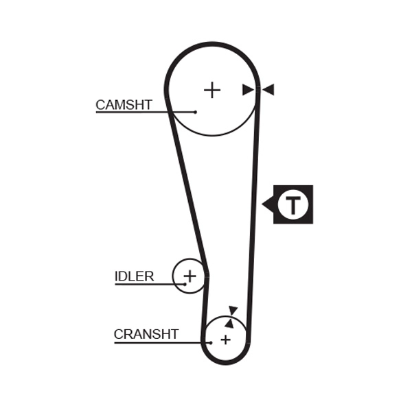 Timing Belt
