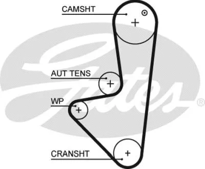 Timing Belt