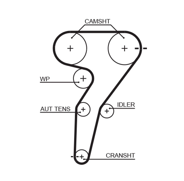 Timing Belt