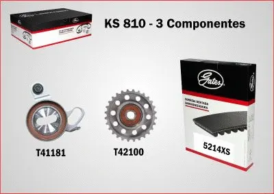 Timing Belt Kit (KS810)