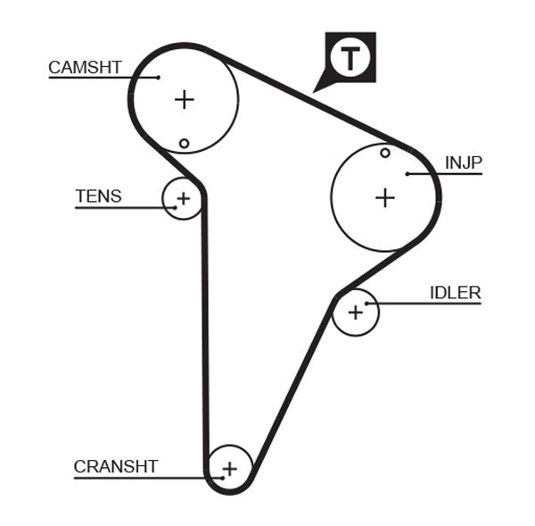 Timing Belt