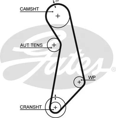 Timing Belt