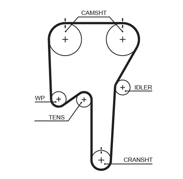 Timing Belt