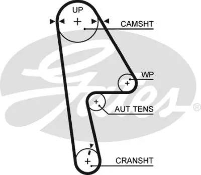 Timing Belt