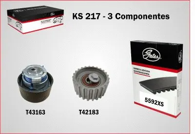 Timing Belt Kit (KS217)
