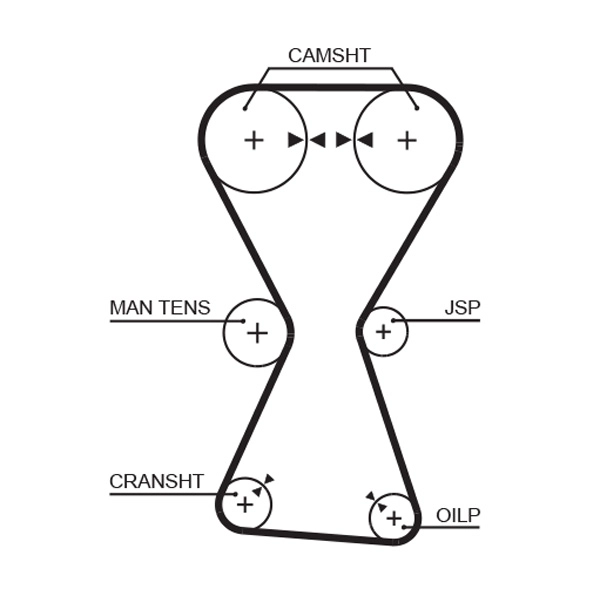 Timing Belt
