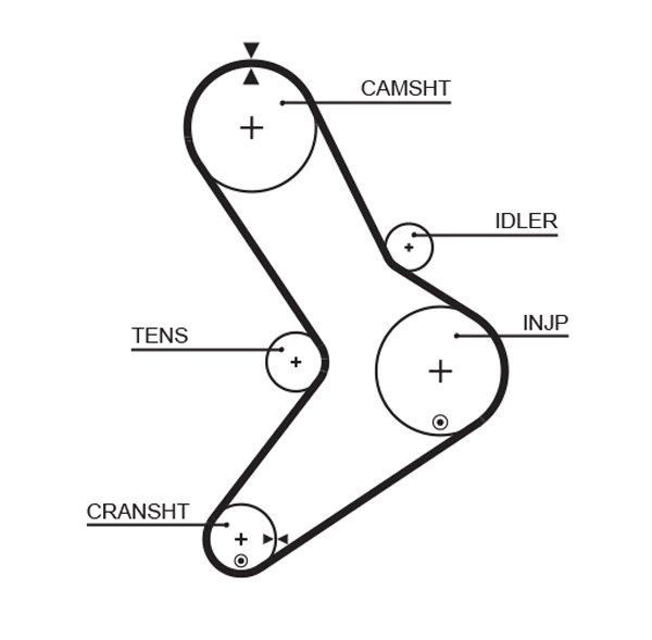 Timing Belt