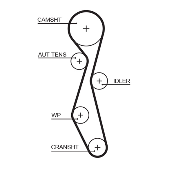 Timing Belt