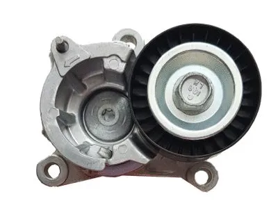 Belt Tensioner, V-ribbed belt (T39193)