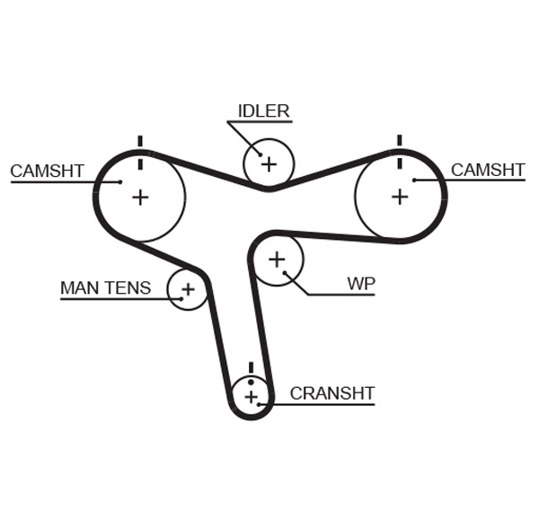 Timing Belt