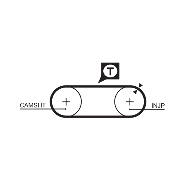 Timing Belt