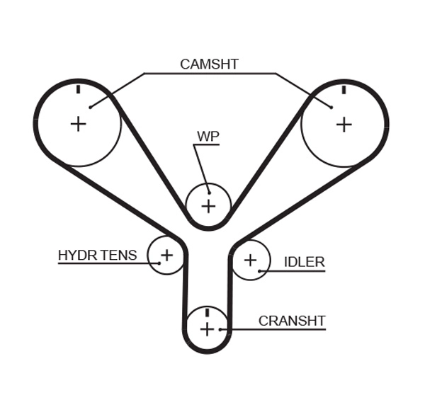 Timing Belt