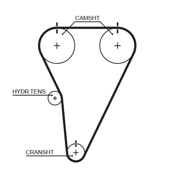 Timing Belt