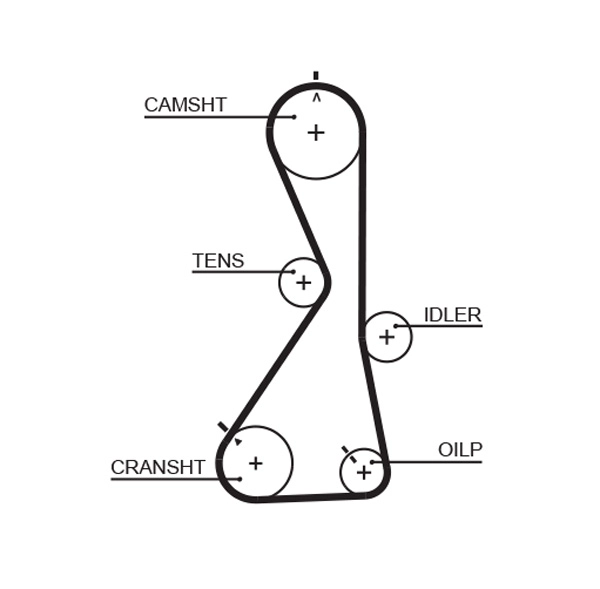 Timing Belt