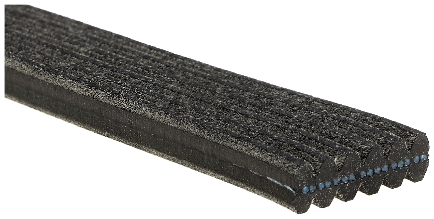 V-Ribbed Belt