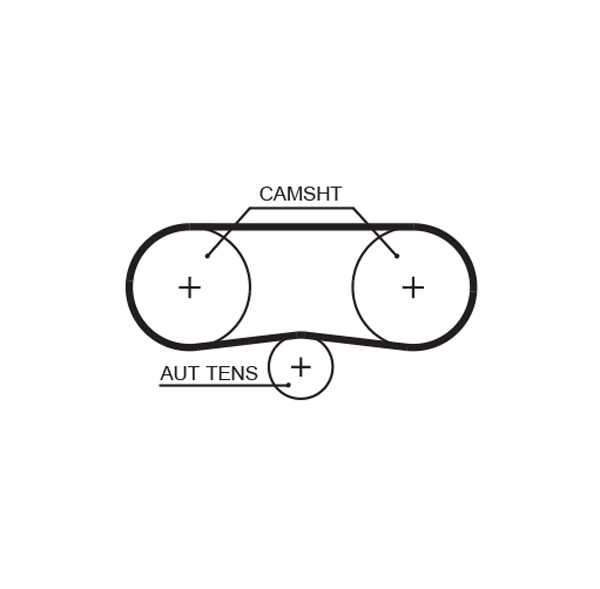 Timing Belt