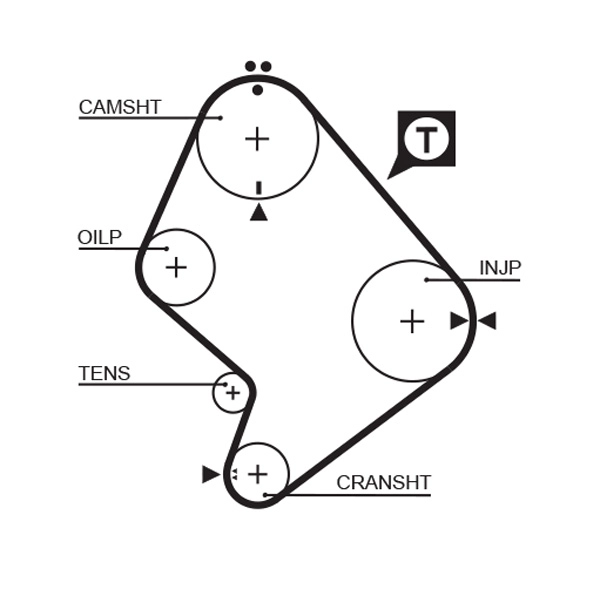 Timing Belt